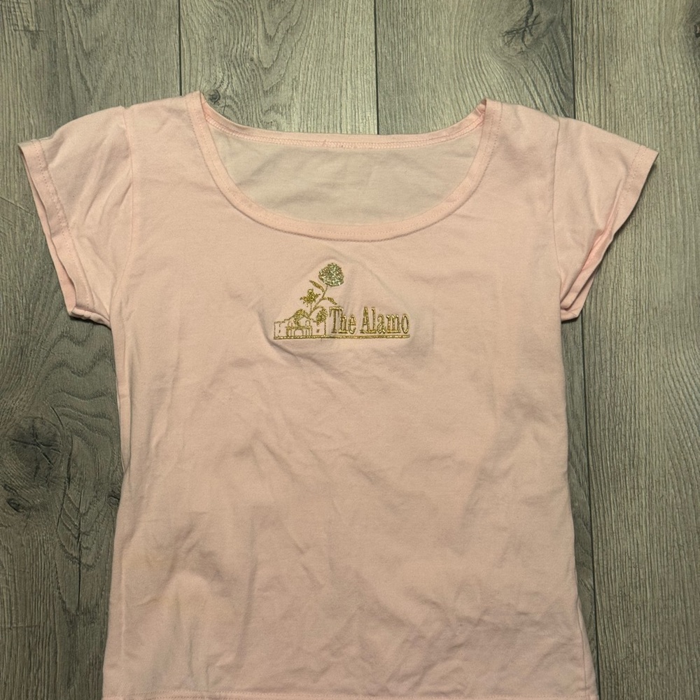 The Alamo Embroidered Baby Tee Pink Y2K Top XS/S